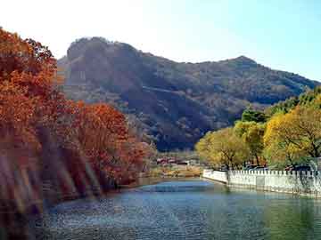 新澳天天开奖资料大全旅游团，黑帽seo学习